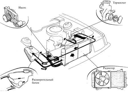 5.2 Замена охлаждающей жидкости Ford Escort
