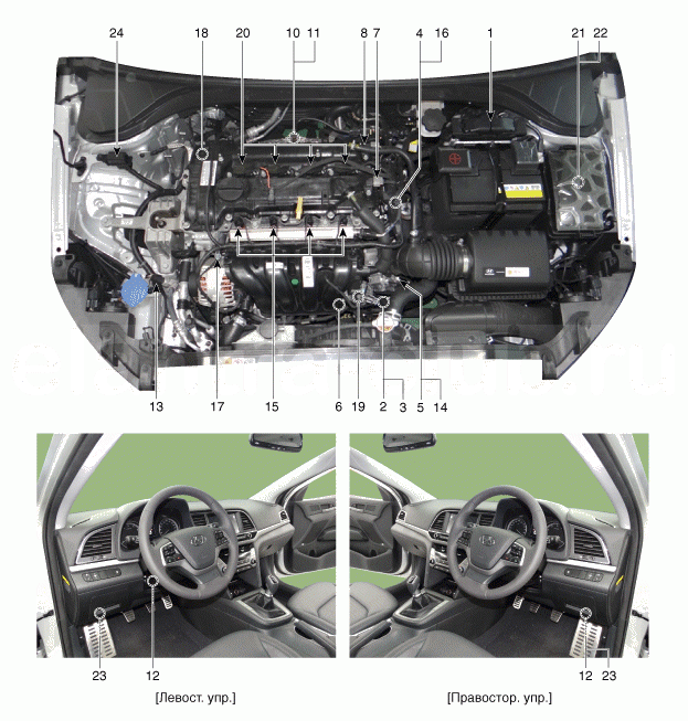 1. Местоположение компонентов Hyundai Elantra AD