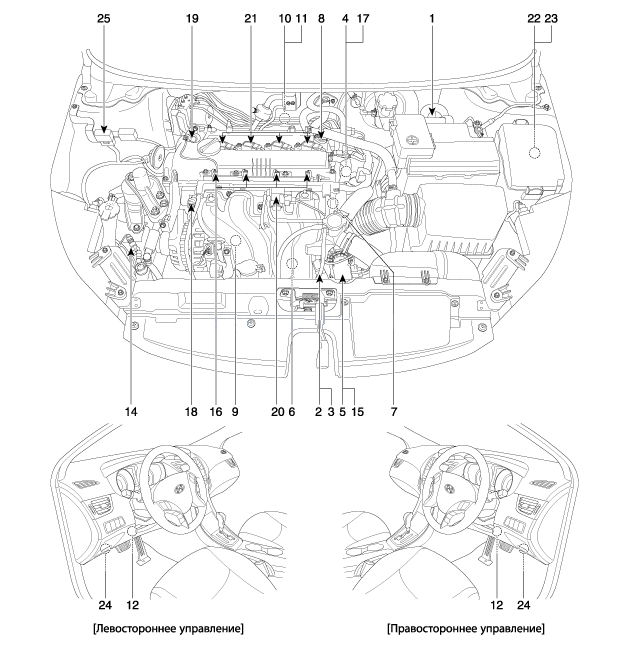1. Местоположение компонентов Hyundai Elantra MD