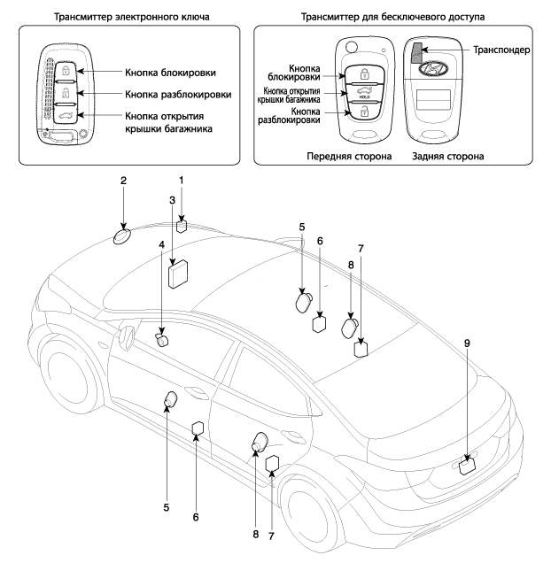 2. Расположение компонентов Hyundai Elantra MD