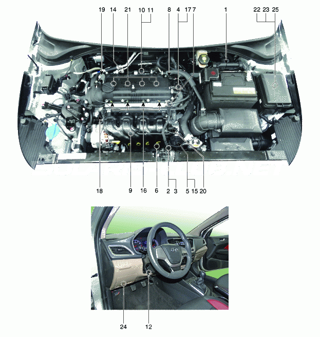 1. Местоположение компонентов Hyundai Solaris HCr