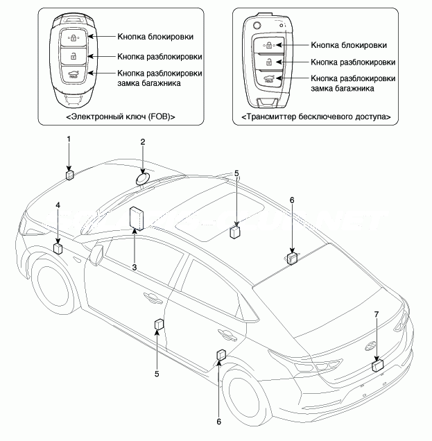 2. Расположение компонентов Hyundai Solaris HCr