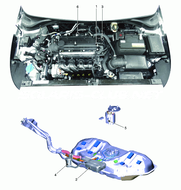 5. Местоположение компонентов Hyundai Solaris HCr