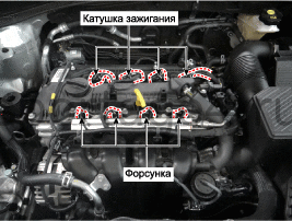 1. Местоположение компонентов Kia Sportage QL