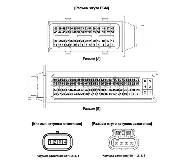3. Принципиальная электрическая схема, Виды разъемов, Функция вывода катушки зажигания Kia Sportage QL