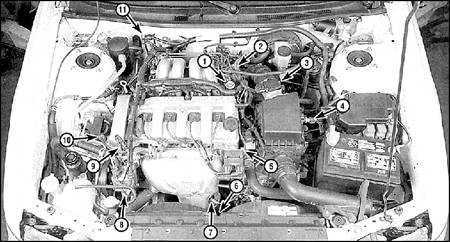 6.2.1 Системы снижения токсичности выхлопов и управления работой двигателя Mazda 626