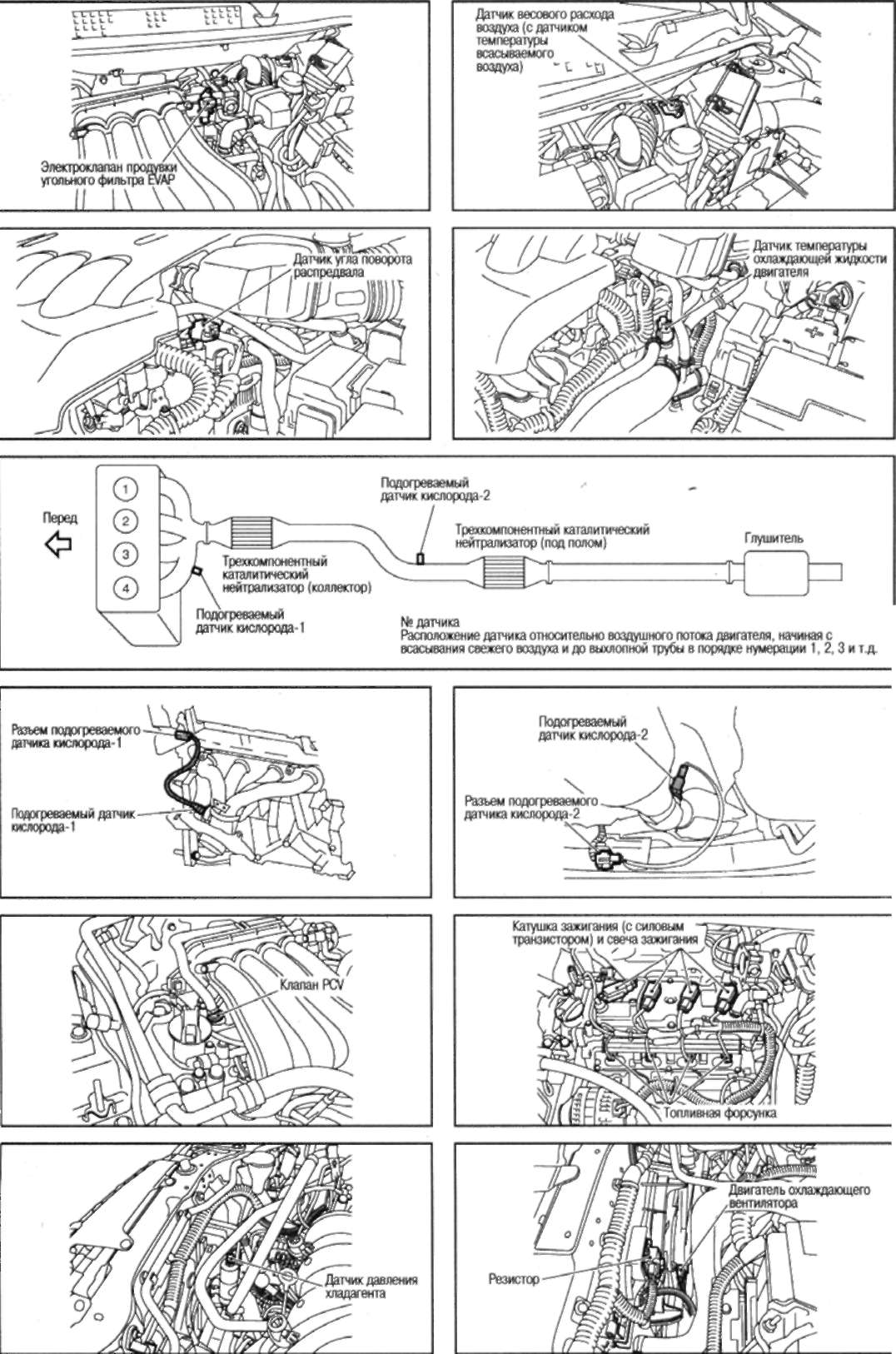 Общая схема кузовные детали для NISSAN QASHQAI II SUV (J11, J11_) 1.5 dCi Дизель 110 л.с.