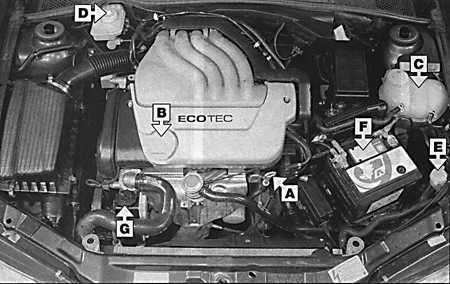 2.1.1 Места еженедельных проверок Opel Vectra B