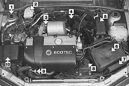 2.3.1 Техническое обслуживание дизельных двигателей Opel Vectra B