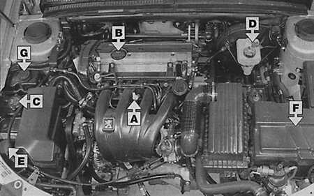 1.1.6 Места еженедельной проверки Peugeot 406