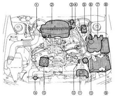 3.3 Общие сведения о настройках и регулировках Subaru Forester