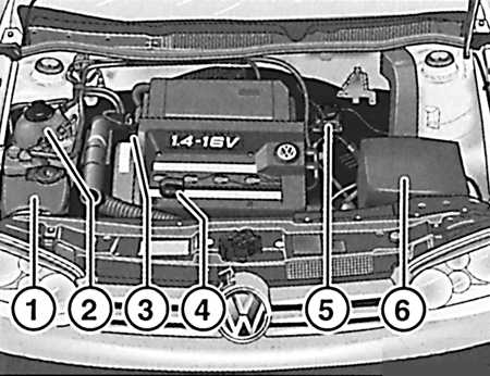 1.2.7 Места еженедельных проверок Volkswagen Golf IV