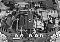 2.2.7 Места еженедельных проверок Volkswagen Passat B5